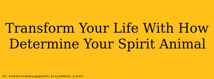 Transform Your Life With How Determine Your Spirit Animal