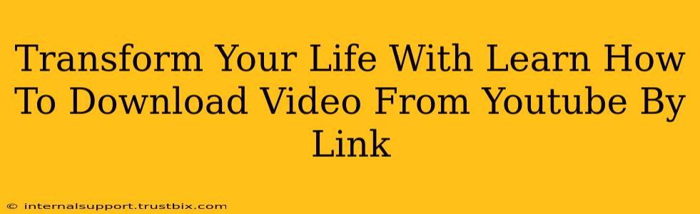 Transform Your Life With Learn How To Download Video From Youtube By Link