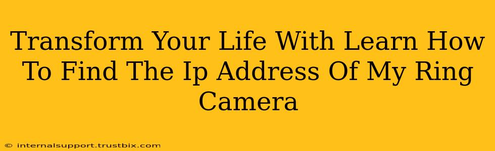 Transform Your Life With Learn How To Find The Ip Address Of My Ring Camera