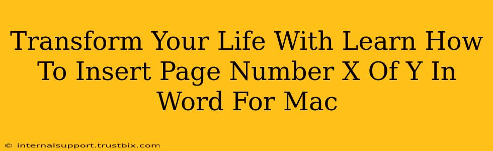 Transform Your Life With Learn How To Insert Page Number X Of Y In Word For Mac