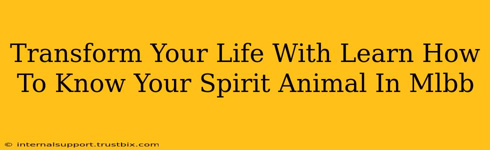 Transform Your Life With Learn How To Know Your Spirit Animal In Mlbb