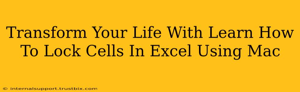 Transform Your Life With Learn How To Lock Cells In Excel Using Mac