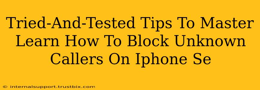 Tried-And-Tested Tips To Master Learn How To Block Unknown Callers On Iphone Se