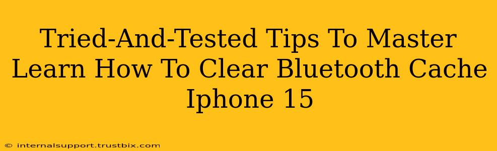 Tried-And-Tested Tips To Master Learn How To Clear Bluetooth Cache Iphone 15