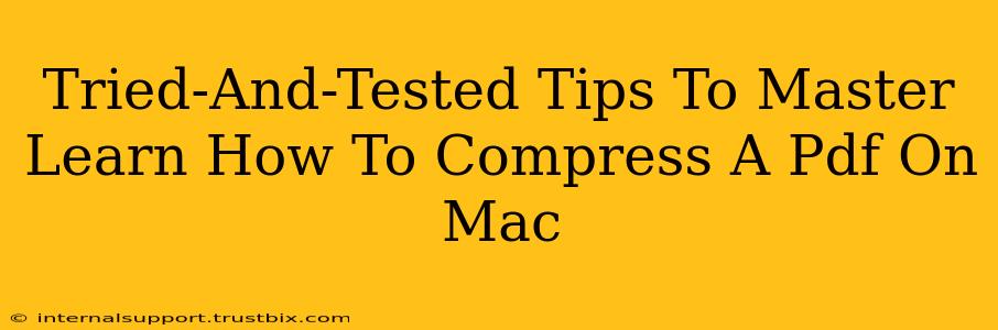 Tried-And-Tested Tips To Master Learn How To Compress A Pdf On Mac