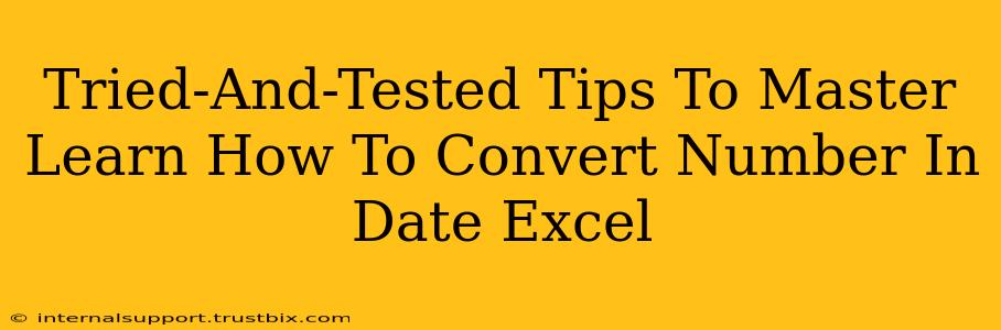 Tried-And-Tested Tips To Master Learn How To Convert Number In Date Excel