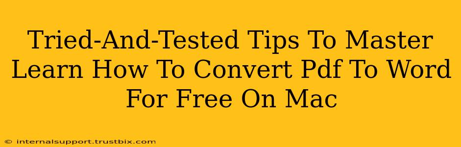 Tried-And-Tested Tips To Master Learn How To Convert Pdf To Word For Free On Mac