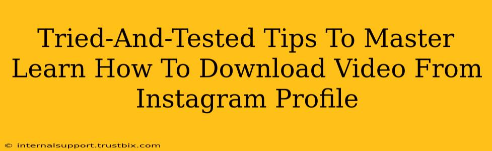 Tried-And-Tested Tips To Master Learn How To Download Video From Instagram Profile