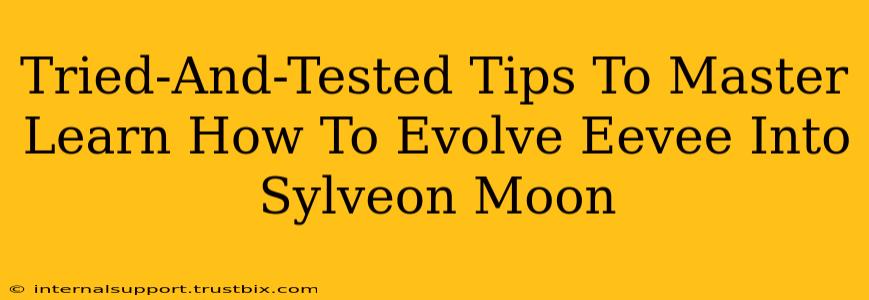 Tried-And-Tested Tips To Master Learn How To Evolve Eevee Into Sylveon Moon