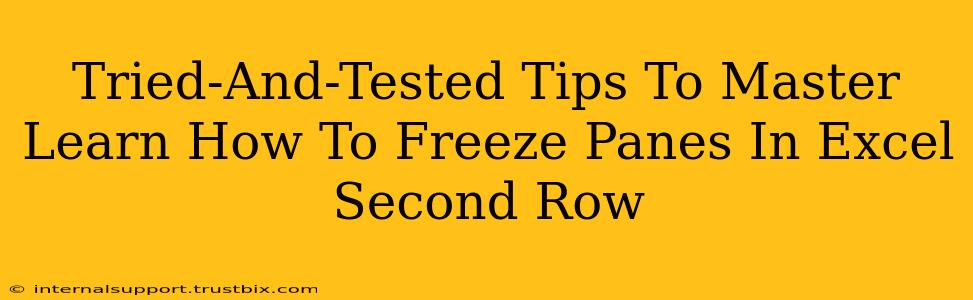 Tried-And-Tested Tips To Master Learn How To Freeze Panes In Excel Second Row