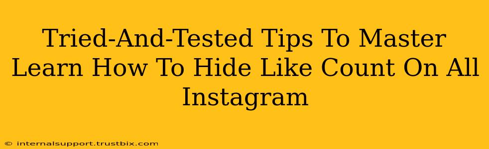 Tried-And-Tested Tips To Master Learn How To Hide Like Count On All Instagram