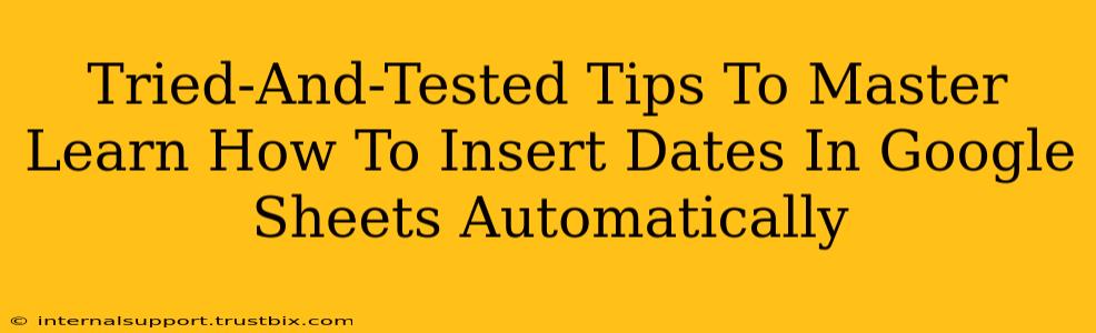 Tried-And-Tested Tips To Master Learn How To Insert Dates In Google Sheets Automatically