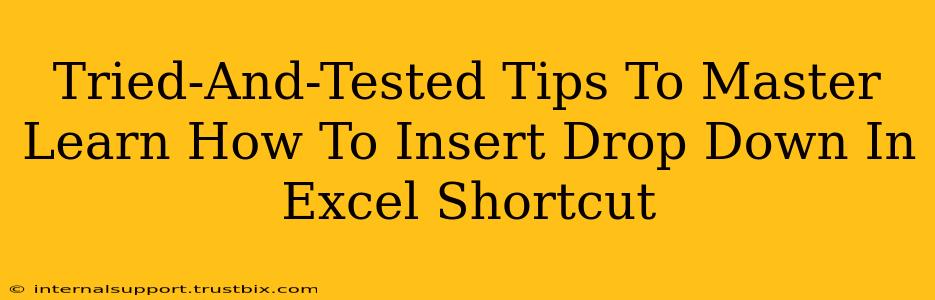 Tried-And-Tested Tips To Master Learn How To Insert Drop Down In Excel Shortcut