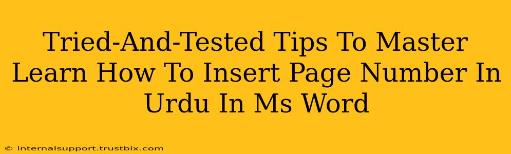 Tried-And-Tested Tips To Master Learn How To Insert Page Number In Urdu In Ms Word