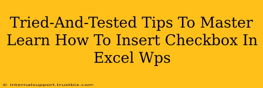 Tried-And-Tested Tips To Master Learn How To Insert Checkbox In Excel Wps