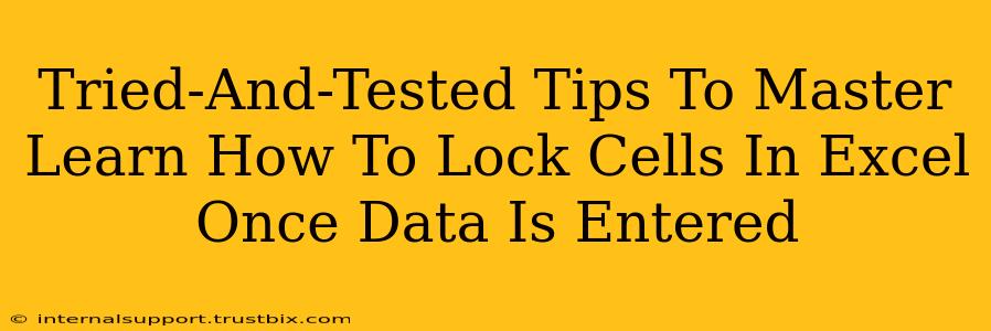 Tried-And-Tested Tips To Master Learn How To Lock Cells In Excel Once Data Is Entered