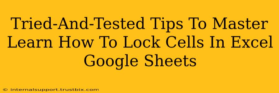 Tried-And-Tested Tips To Master Learn How To Lock Cells In Excel Google Sheets