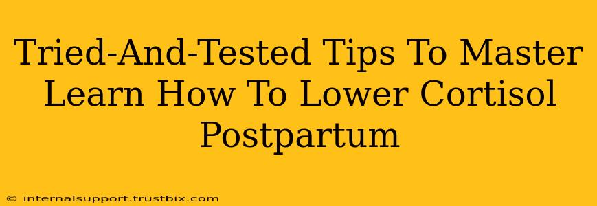 Tried-And-Tested Tips To Master Learn How To Lower Cortisol Postpartum