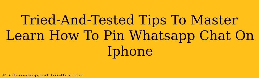 Tried-And-Tested Tips To Master Learn How To Pin Whatsapp Chat On Iphone