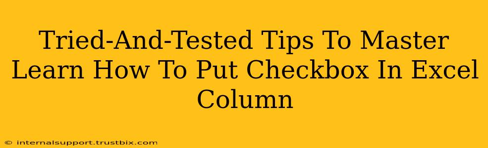 Tried-And-Tested Tips To Master Learn How To Put Checkbox In Excel Column