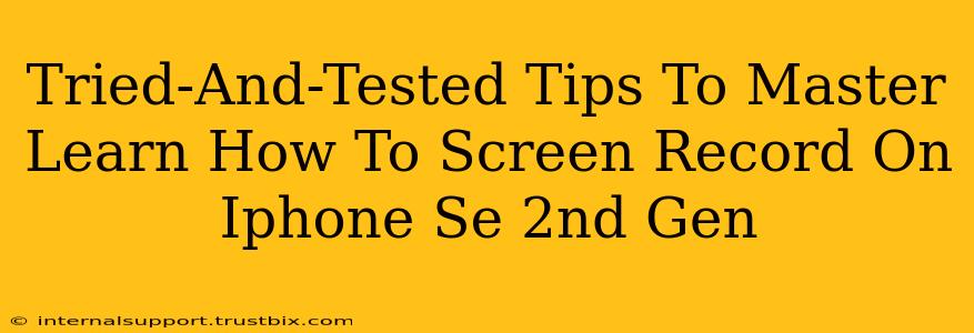 Tried-And-Tested Tips To Master Learn How To Screen Record On Iphone Se 2nd Gen