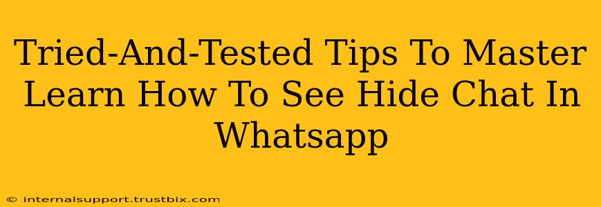 Tried-And-Tested Tips To Master Learn How To See Hide Chat In Whatsapp