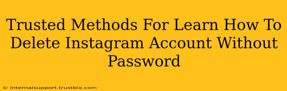 Trusted Methods For Learn How To Delete Instagram Account Without Password