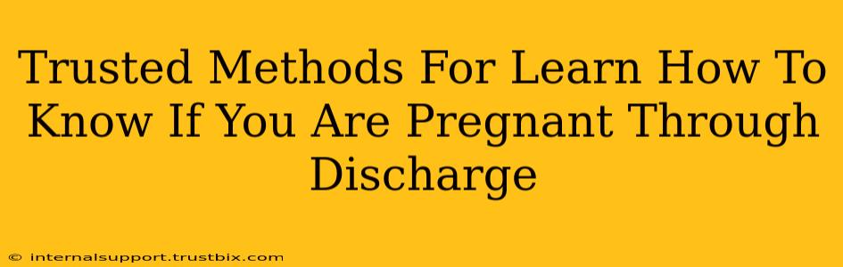 Trusted Methods For Learn How To Know If You Are Pregnant Through Discharge