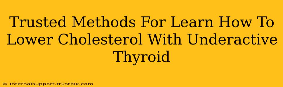 Trusted Methods For Learn How To Lower Cholesterol With Underactive Thyroid