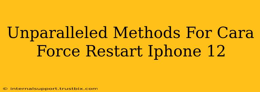 Unparalleled Methods For Cara Force Restart Iphone 12