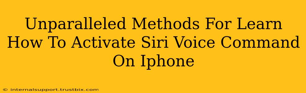 Unparalleled Methods For Learn How To Activate Siri Voice Command On Iphone