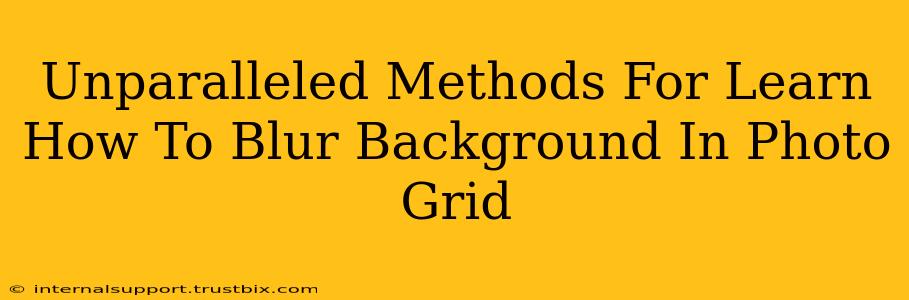 Unparalleled Methods For Learn How To Blur Background In Photo Grid