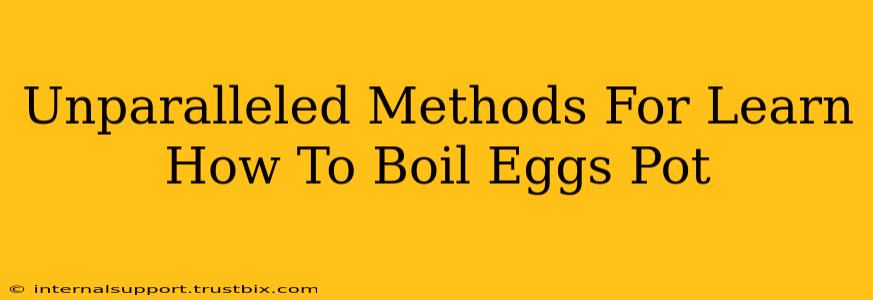 Unparalleled Methods For Learn How To Boil Eggs Pot