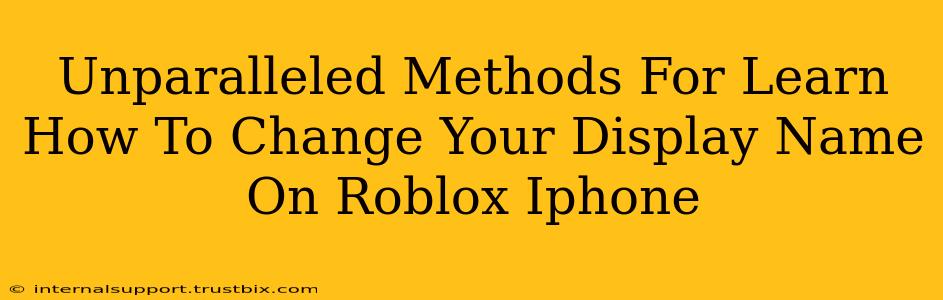 Unparalleled Methods For Learn How To Change Your Display Name On Roblox Iphone