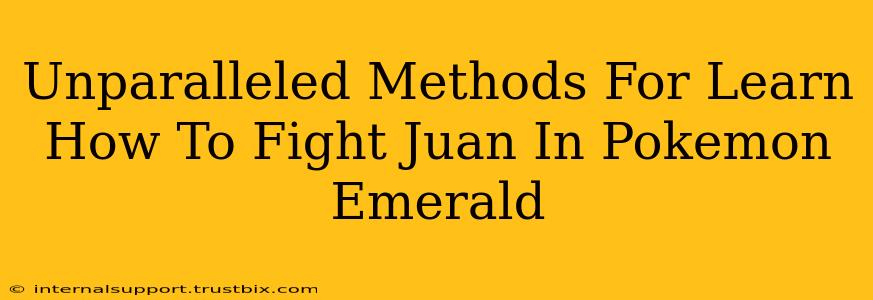 Unparalleled Methods For Learn How To Fight Juan In Pokemon Emerald