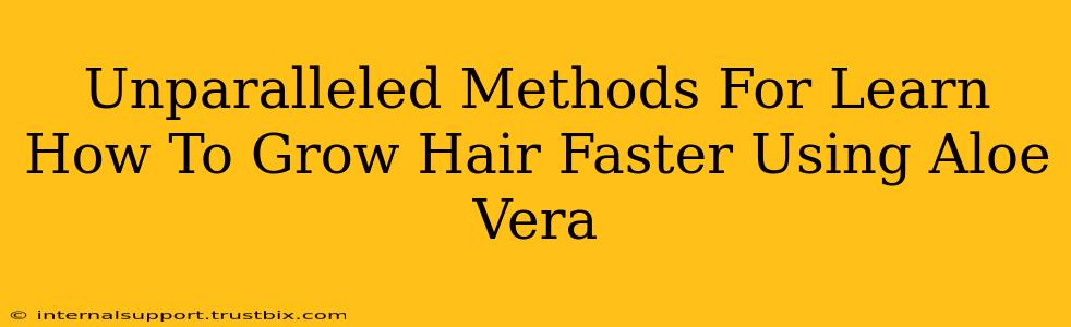 Unparalleled Methods For Learn How To Grow Hair Faster Using Aloe Vera