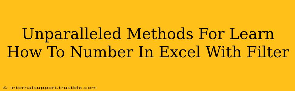 Unparalleled Methods For Learn How To Number In Excel With Filter