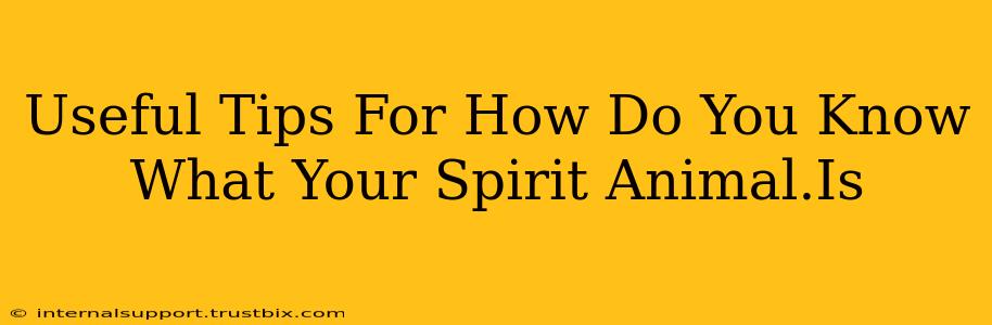 Useful Tips For How Do You Know What Your Spirit Animal.Is