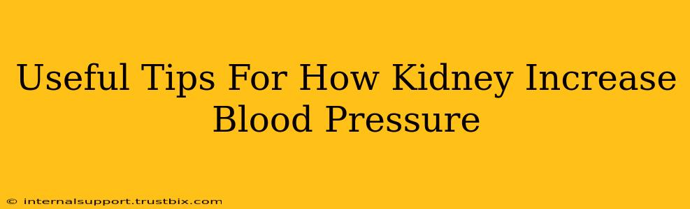 Useful Tips For How Kidney Increase Blood Pressure