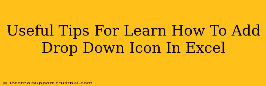 Useful Tips For Learn How To Add Drop Down Icon In Excel