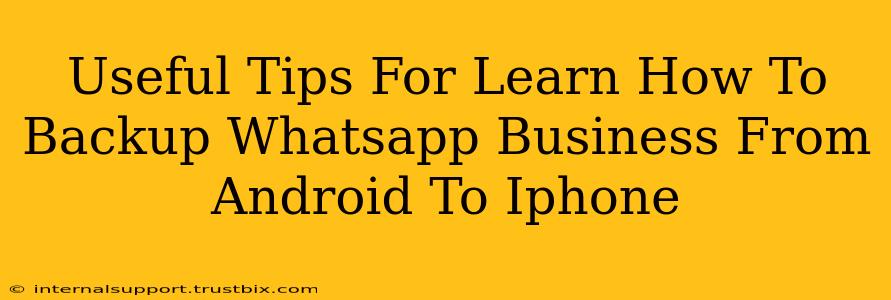 Useful Tips For Learn How To Backup Whatsapp Business From Android To Iphone