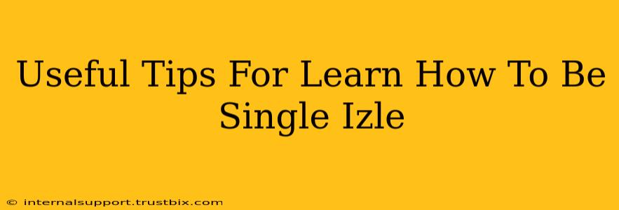 Useful Tips For Learn How To Be Single Izle