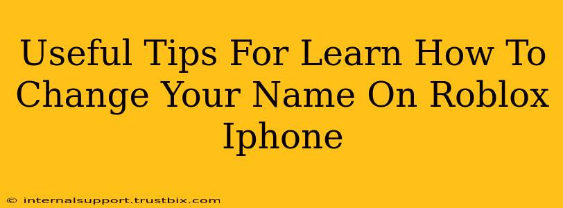 Useful Tips For Learn How To Change Your Name On Roblox Iphone