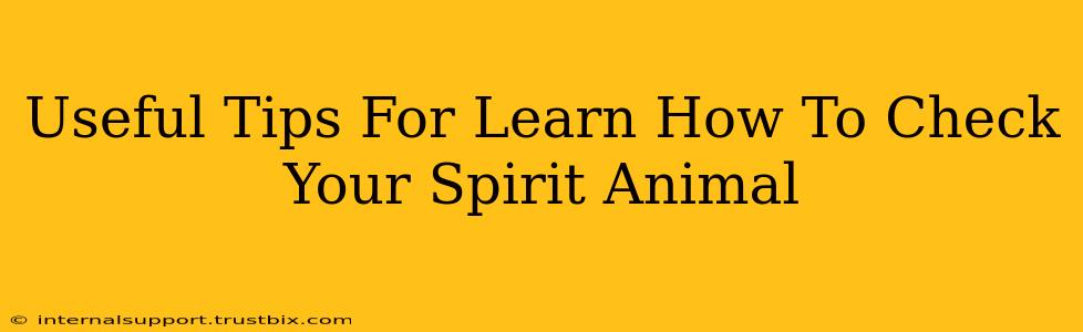 Useful Tips For Learn How To Check Your Spirit Animal