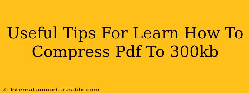 Useful Tips For Learn How To Compress Pdf To 300kb