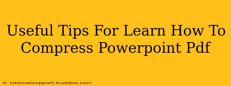 Useful Tips For Learn How To Compress Powerpoint Pdf