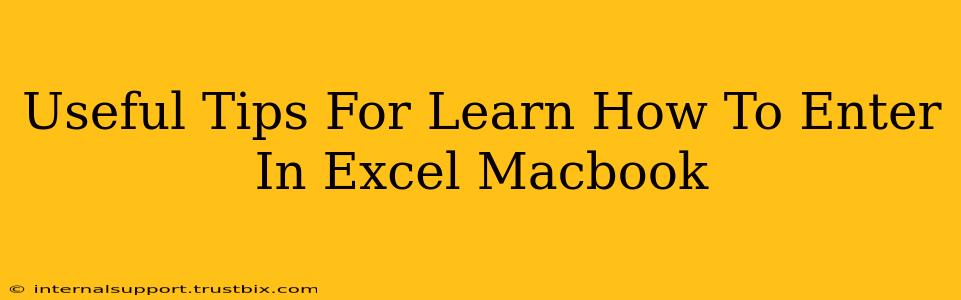 Useful Tips For Learn How To Enter In Excel Macbook