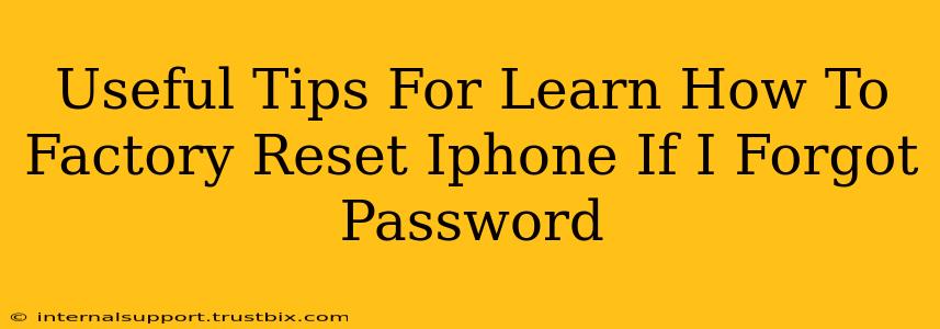 Useful Tips For Learn How To Factory Reset Iphone If I Forgot Password