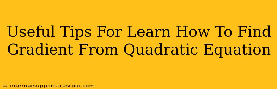 Useful Tips For Learn How To Find Gradient From Quadratic Equation