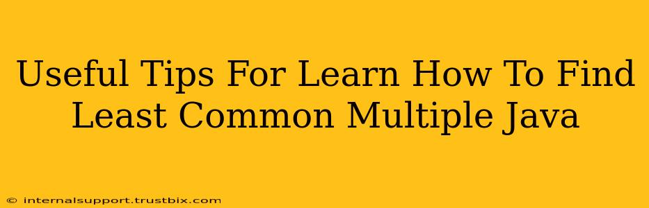 Useful Tips For Learn How To Find Least Common Multiple Java